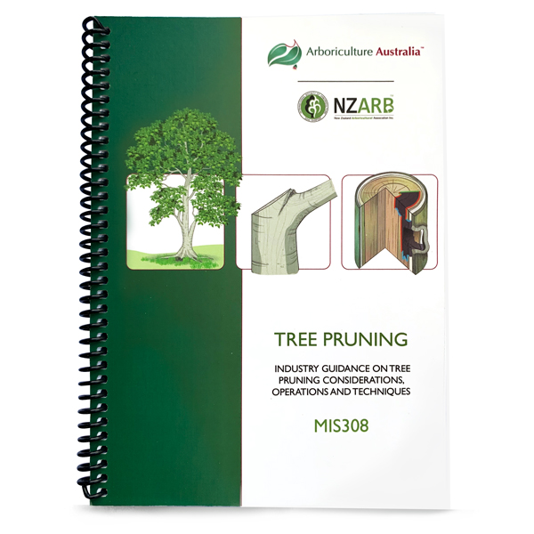 MIS308 Tree Pruning